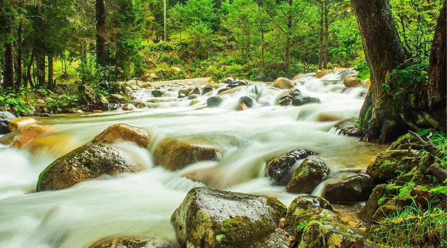 BATUM KONAKLAMALI KEYİF KARADENİZ TURU